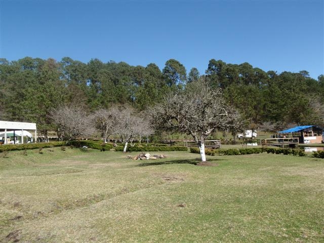 P1300041 (Small).JPG